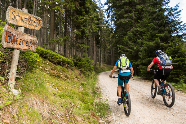 Zwei Fahrradfahrer fahren eine Straße in den Wald hinein.